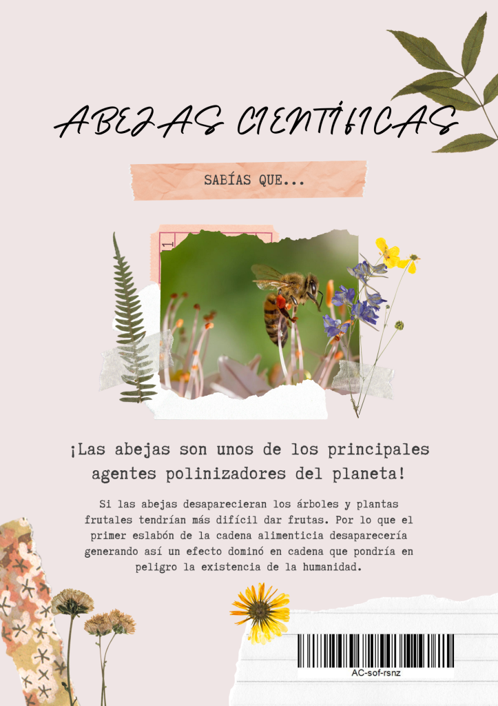 aportacion 1- sofia rosas nunez